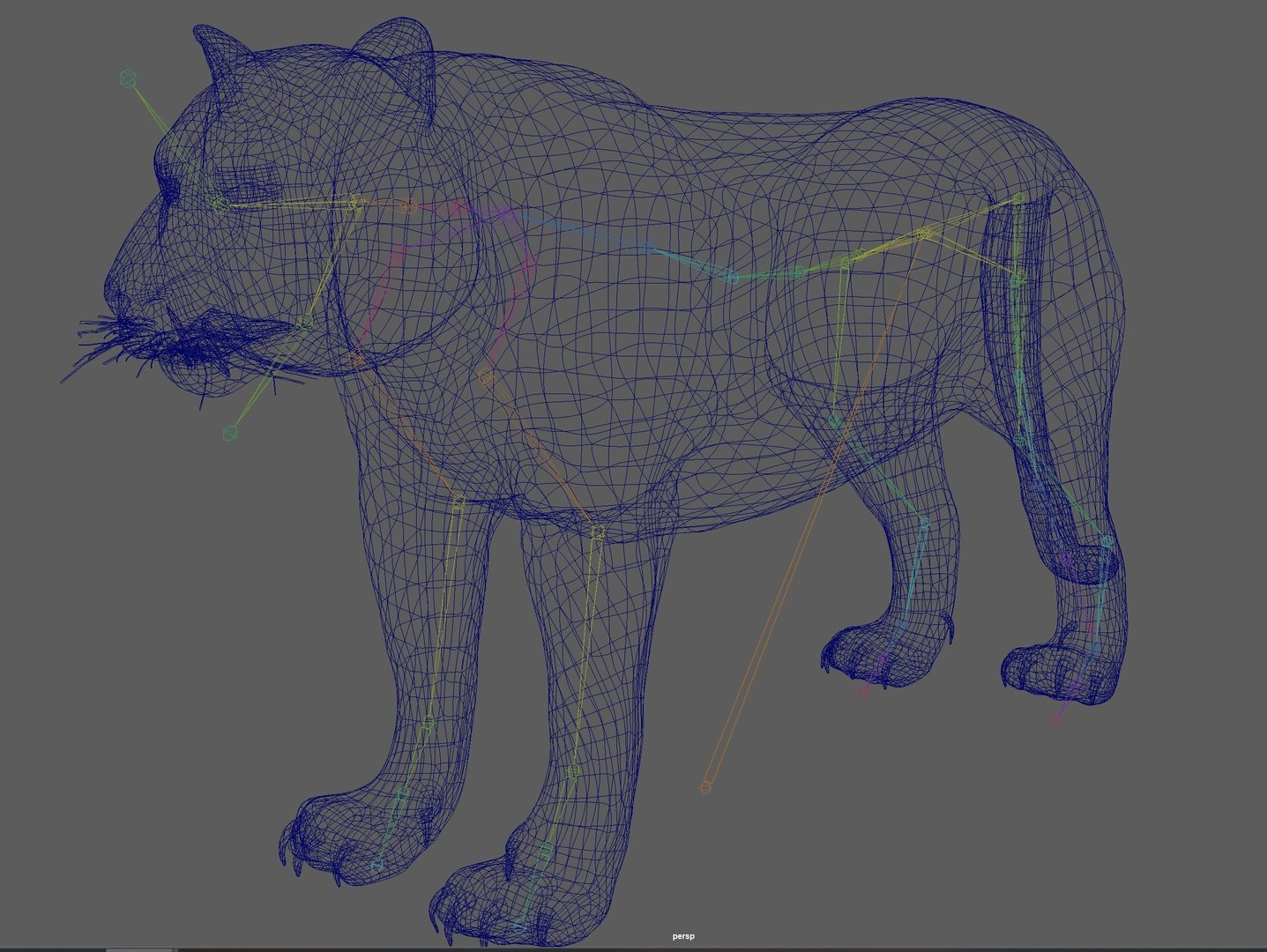 3D Model Tiger Rigged - TurboSquid 1880954