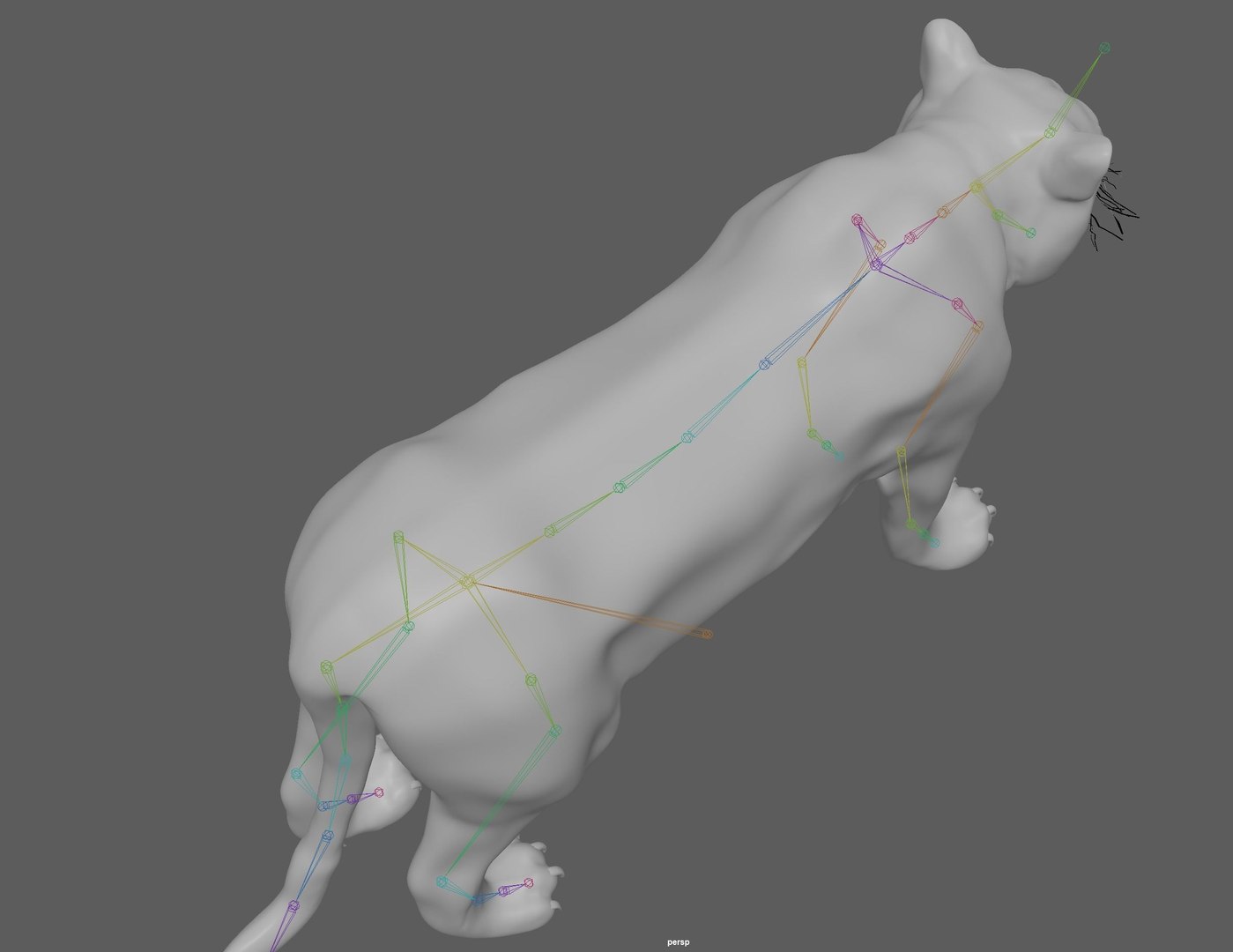 3D Model Tiger Rigged - TurboSquid 1880954