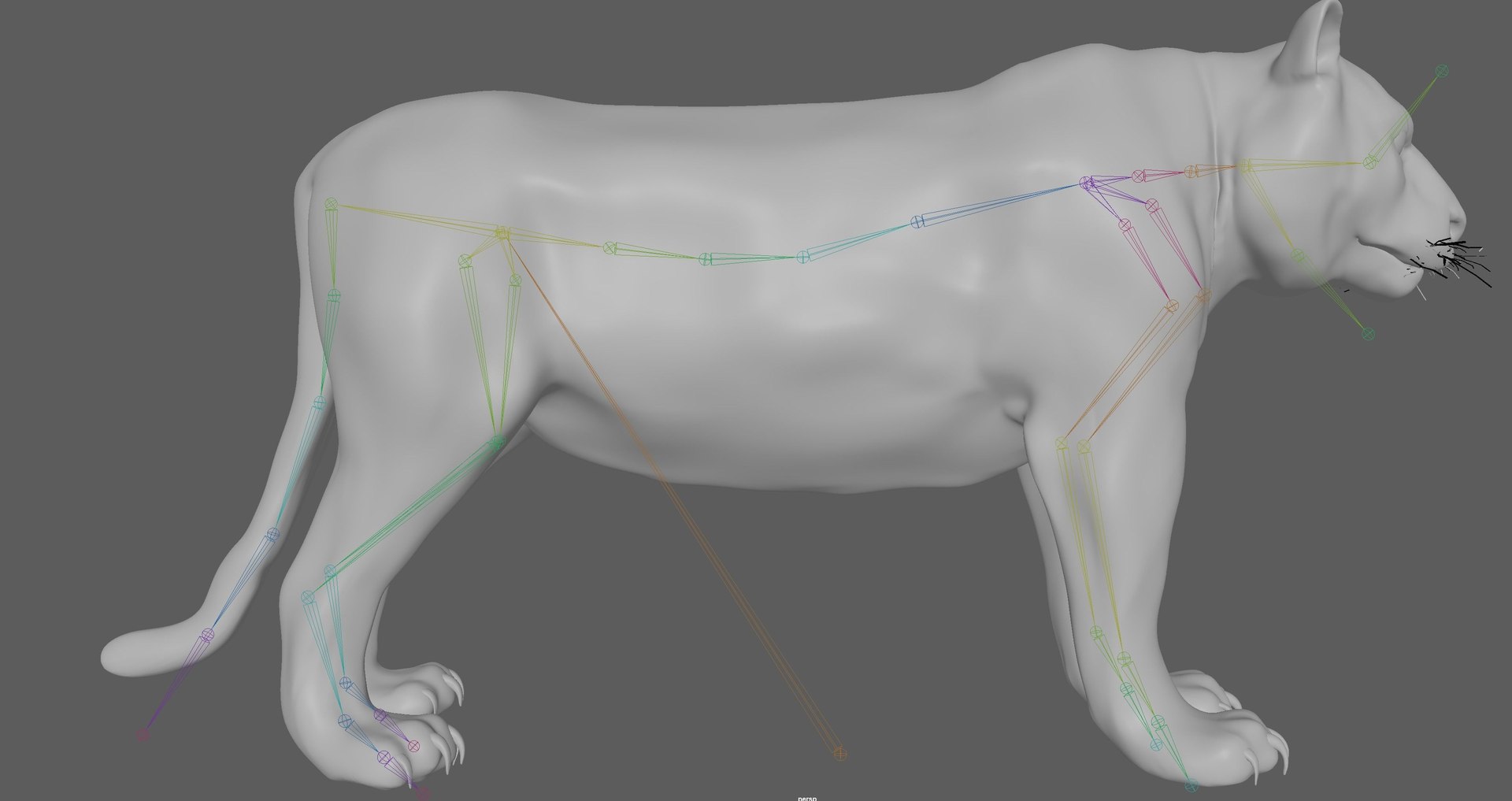 3D Model Tiger Rigged - TurboSquid 1880954
