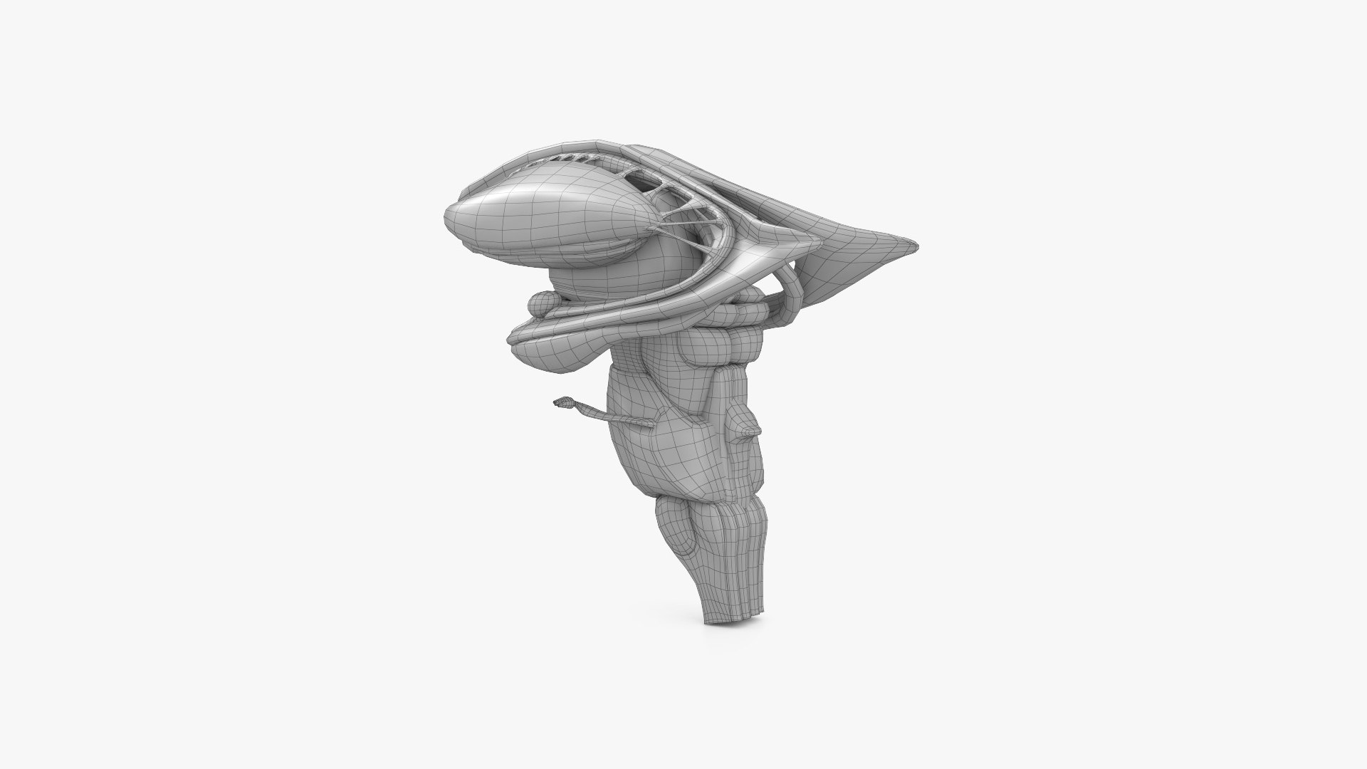 3D model Human Brain Cross Section - TurboSquid 2181519