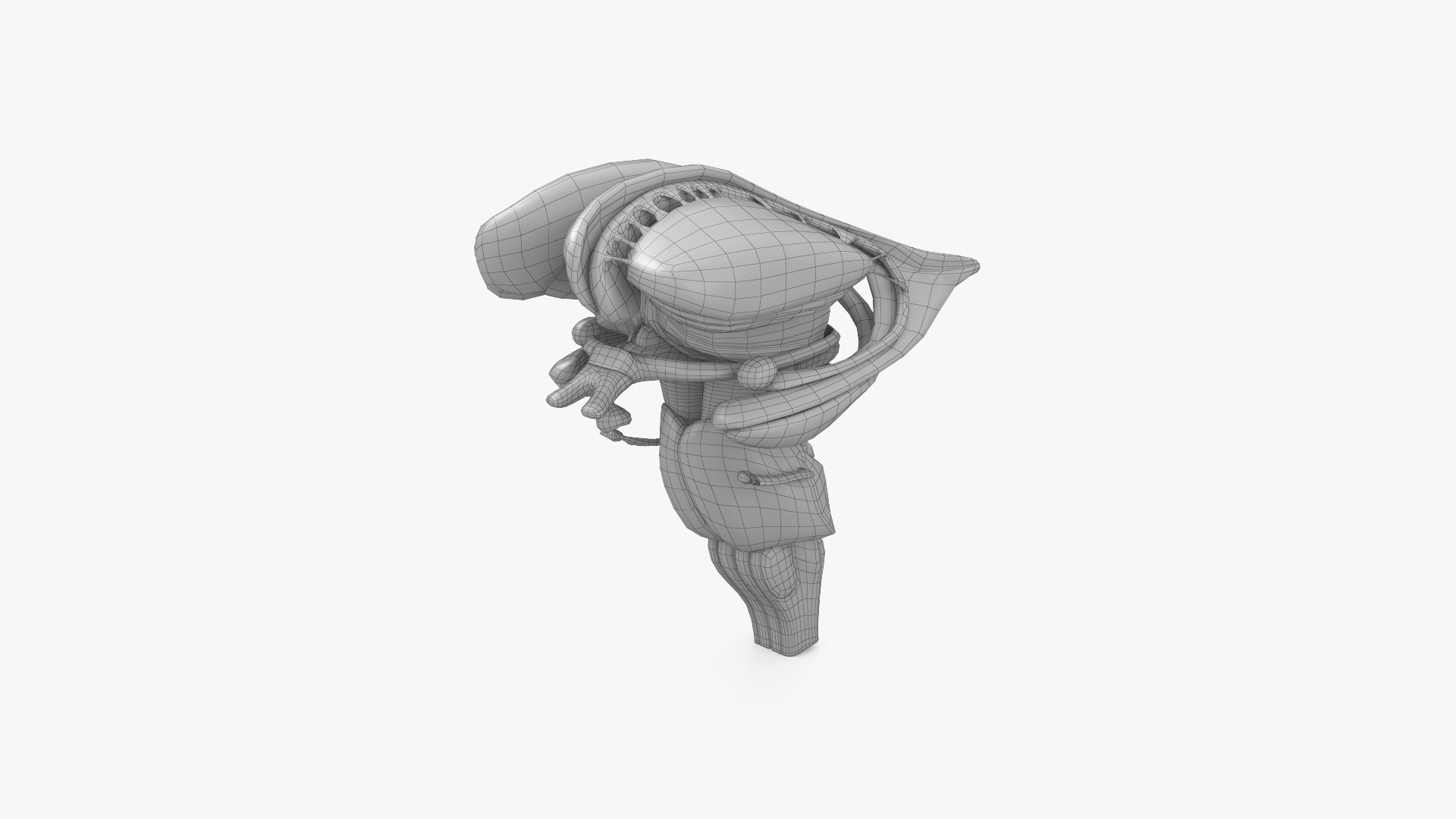 3D model Human Brain Cross Section - TurboSquid 2181519