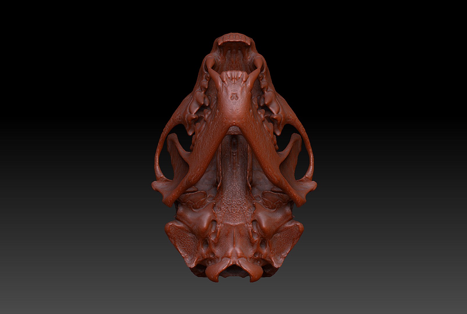 3d pine marten model https://p.turbosquid.com/ts-thumb/BX/aXq23j/Csh4XbWn/5/png/1419875574/1920x1080/fit_q87/18f99d3c7e1dcc0c33dbbca2b8e75984cc287478/5.jpg