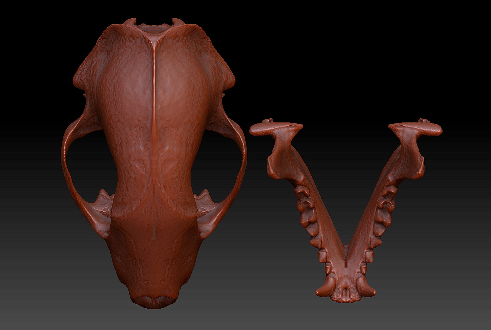 3d pine marten model https://p.turbosquid.com/ts-thumb/BX/aXq23j/De6QXq2q/9/png/1419875586/1920x1080/fit_q87/3ada0f6ccf23896f0c85c9bf19f1920f0722826e/9.jpg