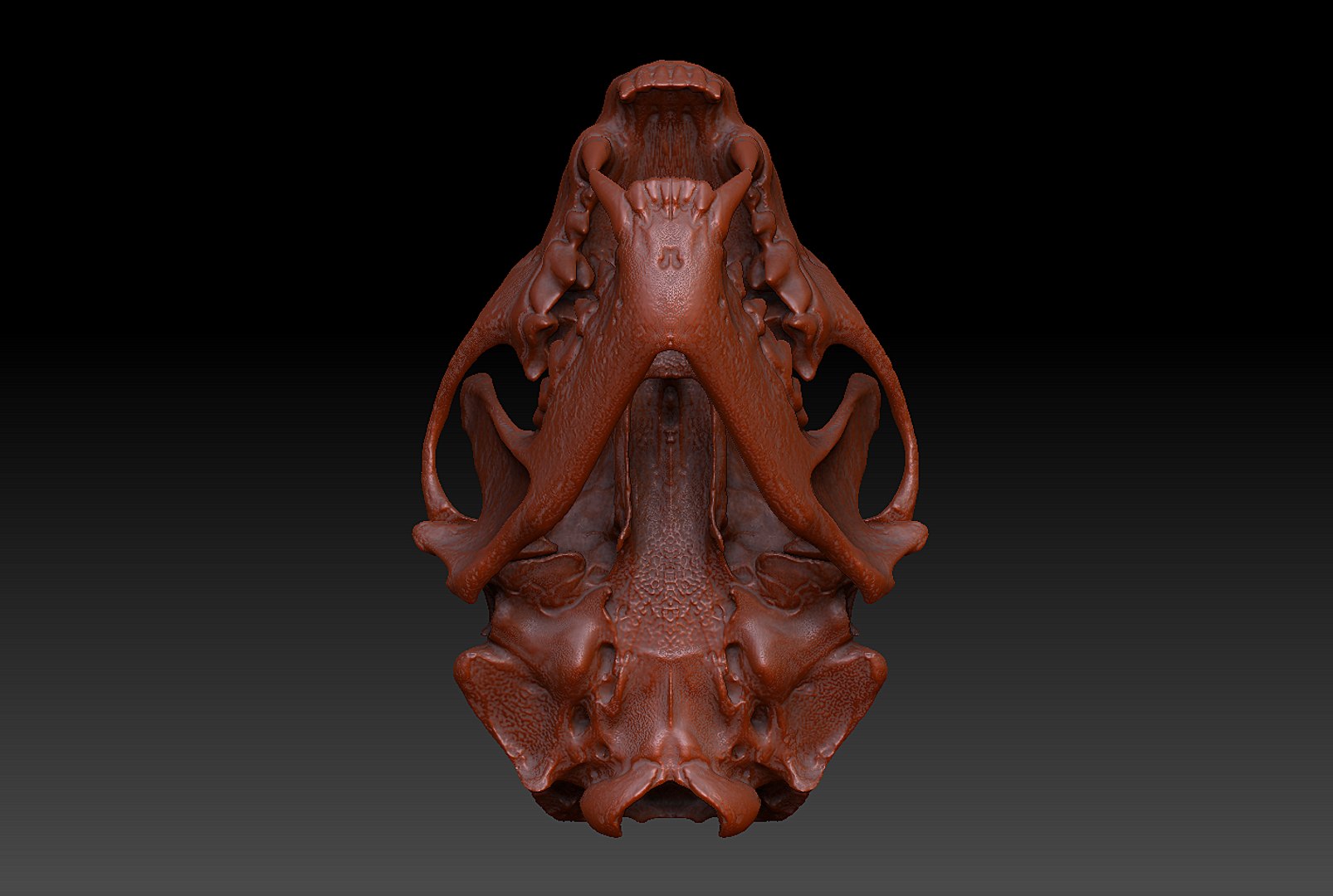 3d pine marten model https://p.turbosquid.com/ts-thumb/BX/aXq23j/UjFQRXCj/2/png/1419875564/1920x1080/fit_q87/5dd18ed3aa9dd2f3b5f41898aba5300d80721c7c/2.jpg