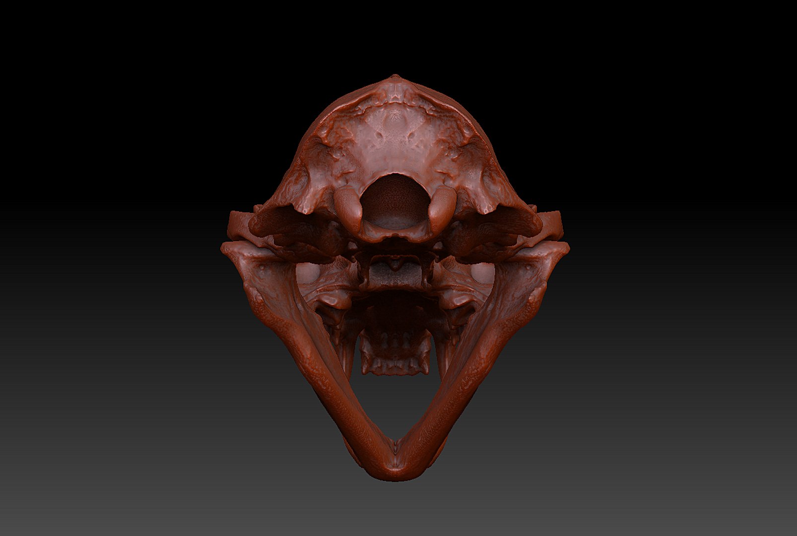 3d pine marten model https://p.turbosquid.com/ts-thumb/BX/aXq23j/hewi9goj/6/png/1419875579/1920x1080/fit_q87/5de8d20868c0c124a53bf5b971c11d133469514d/6.jpg