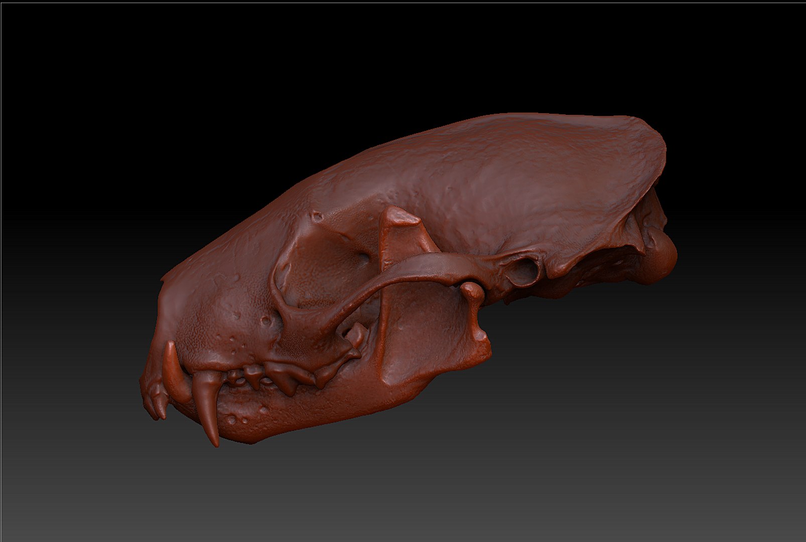 3d pine marten model https://p.turbosquid.com/ts-thumb/BX/aXq23j/qNcLmdpm/22/png/1419875561/1920x1080/fit_q87/d774339773818b7b70876ca922d2ee4fed261d40/22.jpg