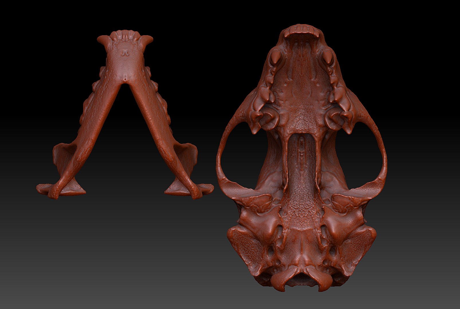 3d pine marten model https://p.turbosquid.com/ts-thumb/BX/aXq23j/rTt1TehV/8/png/1419875583/1920x1080/fit_q87/fc824fd04fe8c208e93eb10648a3a0155f33e494/8.jpg