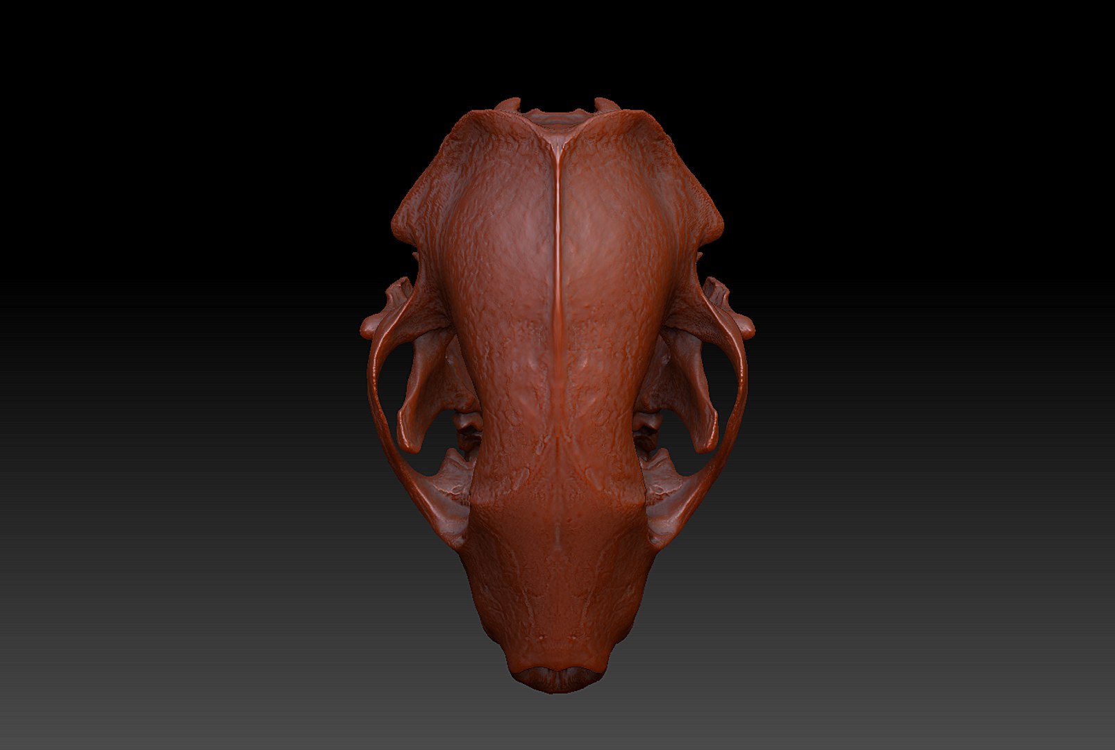 3d pine marten model https://p.turbosquid.com/ts-thumb/BX/aXq23j/uqQ7gdw9/4/png/1419875570/1920x1080/fit_q87/16a2f8ccb1e57dd39dca4cf2bd2012e57a83b99c/4.jpg