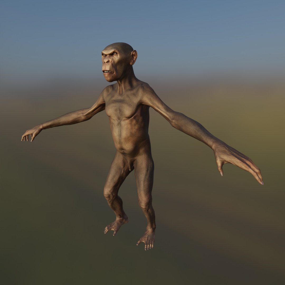 3D Monkey https://p.turbosquid.com/ts-thumb/BX/dztEaq/0D/1/jpg/1639261209/1920x1080/fit_q87/a053f3c5a4db9fb7f3e2c86b06bb1e31bbcf39a3/1.jpg