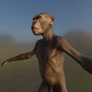 3D Monkey