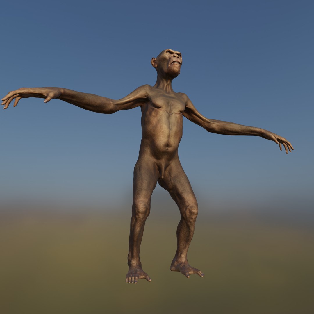 3D Monkey https://p.turbosquid.com/ts-thumb/BX/dztEaq/Cr/3/jpg/1639261210/1920x1080/fit_q87/adab8ac0b9d850a37fb9a7632c25d5b1e4d5bbb7/3.jpg