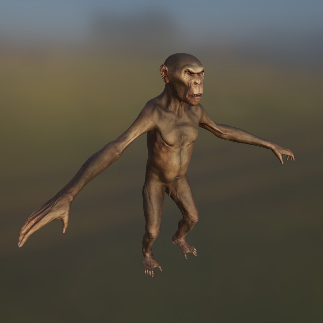 3D Monkey https://p.turbosquid.com/ts-thumb/BX/dztEaq/dY/2/jpg/1639261209/1920x1080/fit_q87/d20bec7e7485afc18064786ca9ab6d17add4bcc2/2.jpg