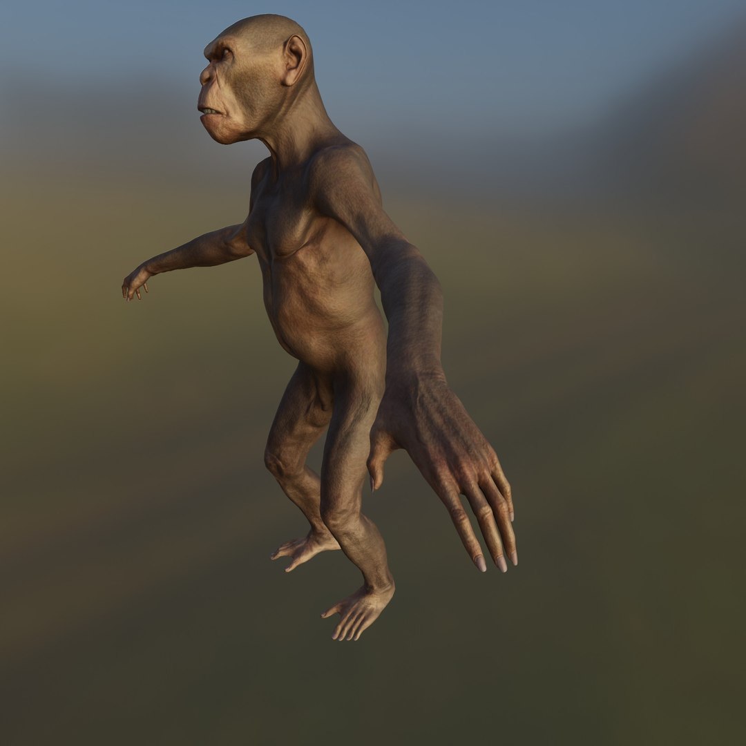 3D Monkey https://p.turbosquid.com/ts-thumb/BX/dztEaq/sI/8/jpg/1639261210/1920x1080/fit_q87/dee0987a959eccdcedb03d385363290e3142fa9c/8.jpg