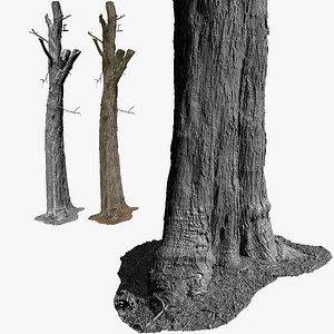 Tree 3D Scan 4x16k Textures 3D model