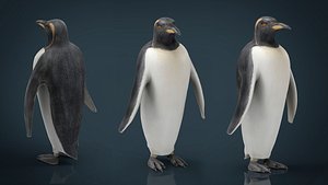 penguin animal 3D model