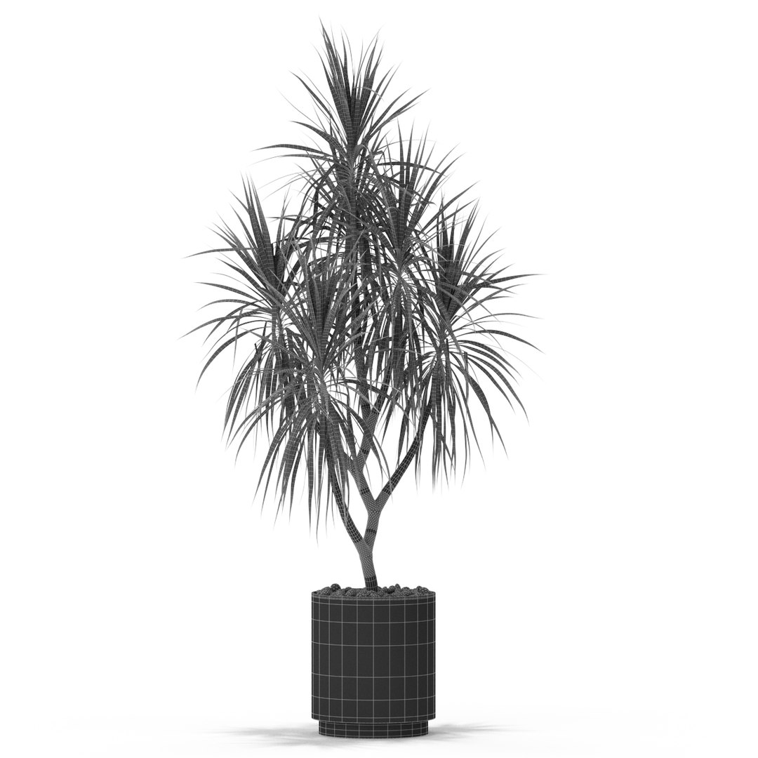 plants 397 3D https://p.turbosquid.com/ts-thumb/BX/uouNKb/2ZzvfPZA/plant_397_04/jpg/1606631091/1920x1080/fit_q87/9617858bbe66c1800c80f840367ea163c99a3d6d/plant_397_04.jpg