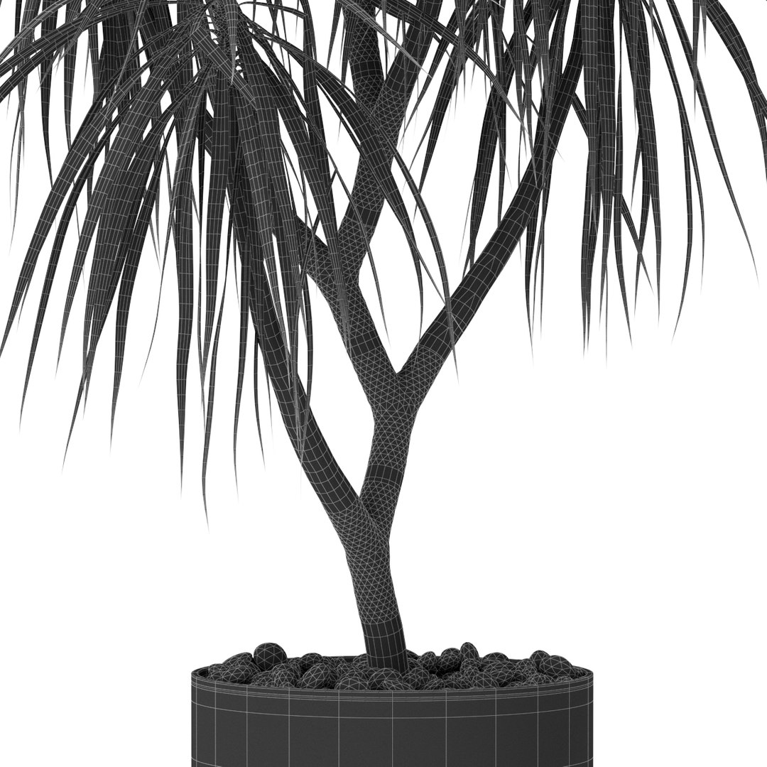 plants 397 3D https://p.turbosquid.com/ts-thumb/BX/uouNKb/GYzDtR98/plant_397_05/jpg/1606631091/1920x1080/fit_q87/2151f4592b6309e379846dced883885e845b7c6d/plant_397_05.jpg