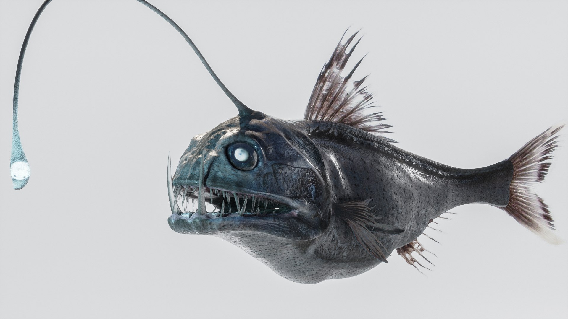 3D Angler Deep Sea Fish Model - TurboSquid 1893166