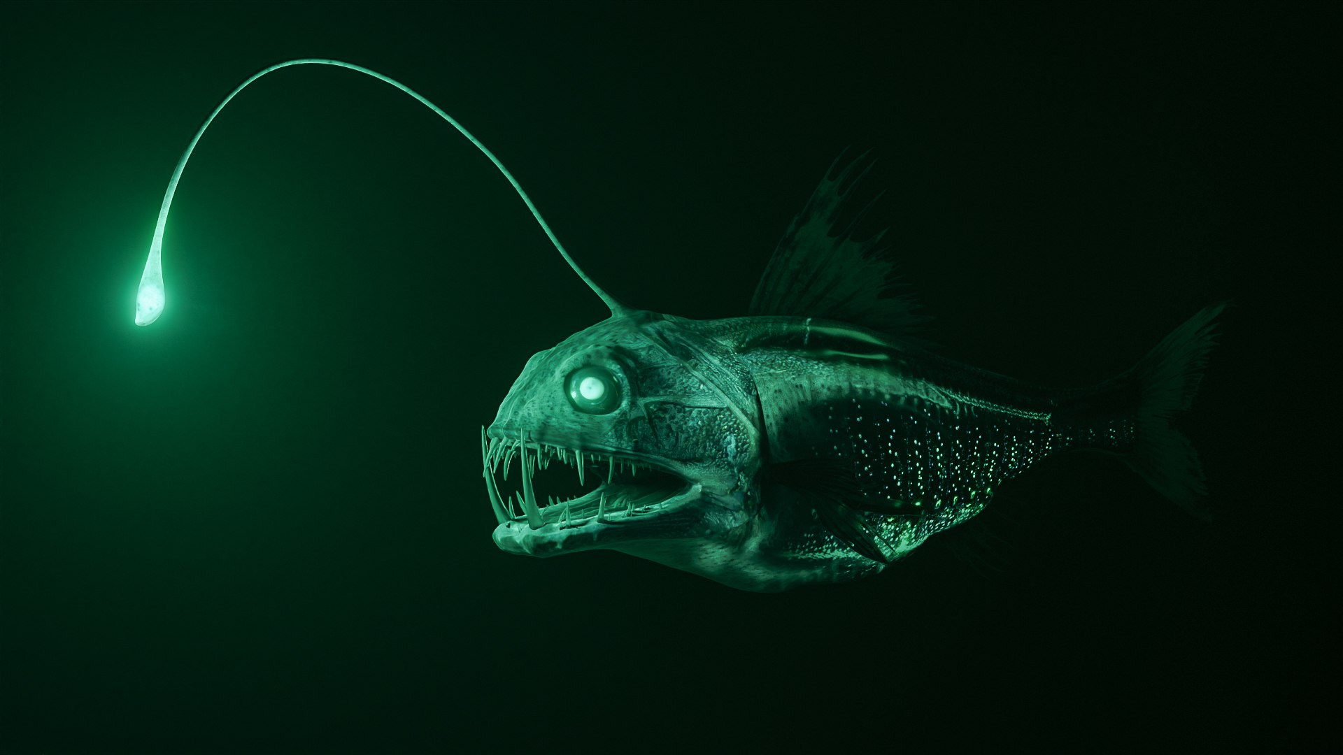 3D Angler Deep Sea Fish Model - TurboSquid 1893166