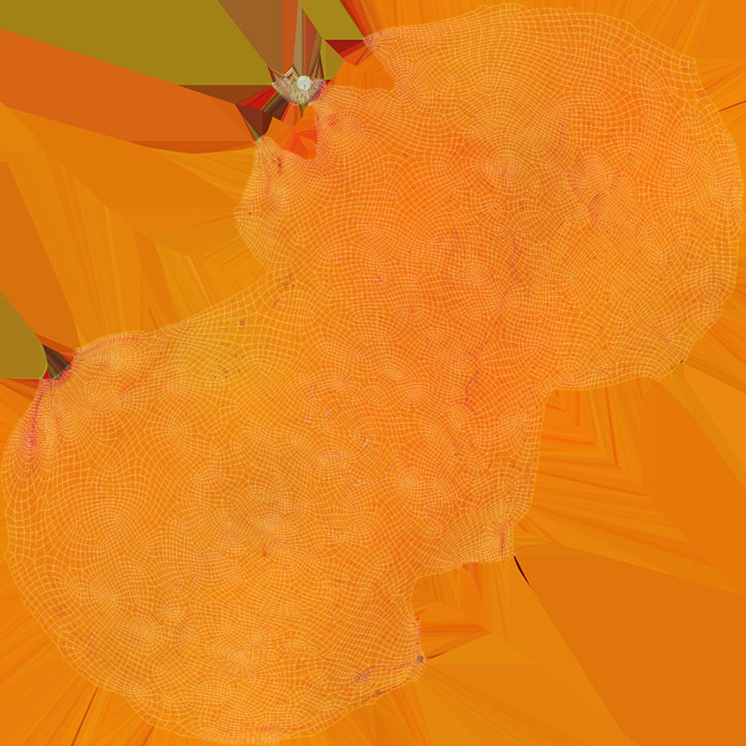 3D Whole Mandarin https://p.turbosquid.com/ts-thumb/BY/GZPV4v/be/mandarin_d0004/jpg/1718190118/1920x1080/fit_q87/3f9aec371ca9c008a4f8fe659b118c5e5f10cb66/mandarin_d0004.jpg