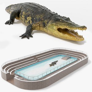 3D Crocodile Show Arena with Crocodile model