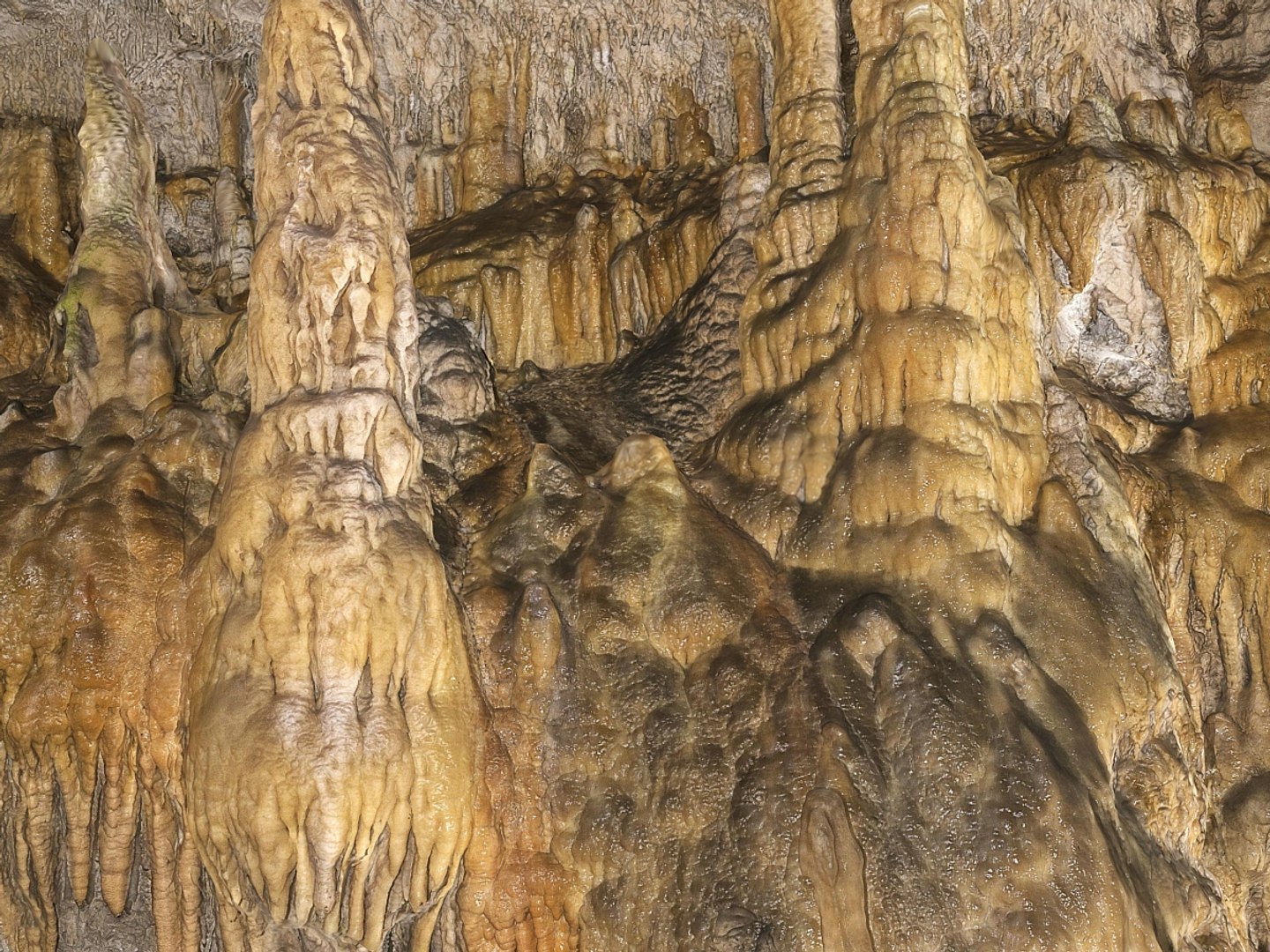 cave wall scan 8k obj https://p.turbosquid.com/ts-thumb/BY/PR7xzp/2JDOX7jh/000/jpg/1489595946/1920x1080/fit_q87/5cfbc9db86521c40198b932bf01401782d345aa3/000.jpg