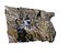 Cave Wall Scan 8K