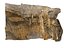 Cave Wall Scan 8K