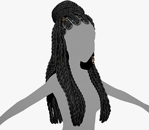 Female Hair Cards Style 8 - Braids And Knot 2