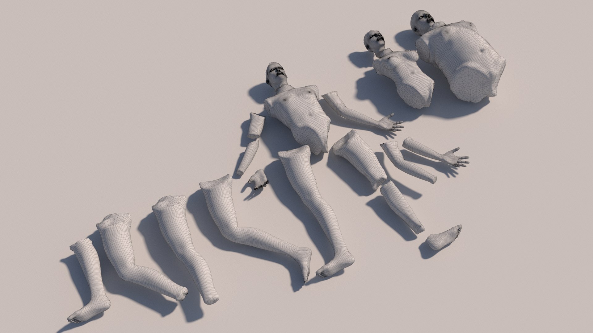 3D Body Parts With Textures - TurboSquid 2098942