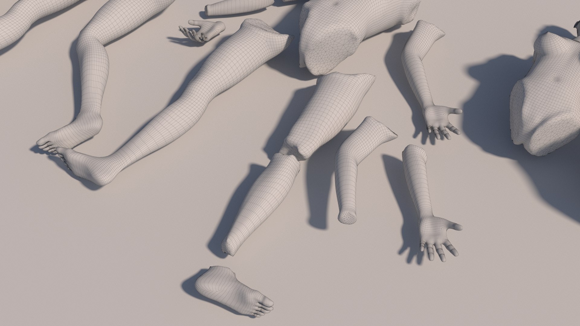 3D Body Parts With Textures - TurboSquid 2098942