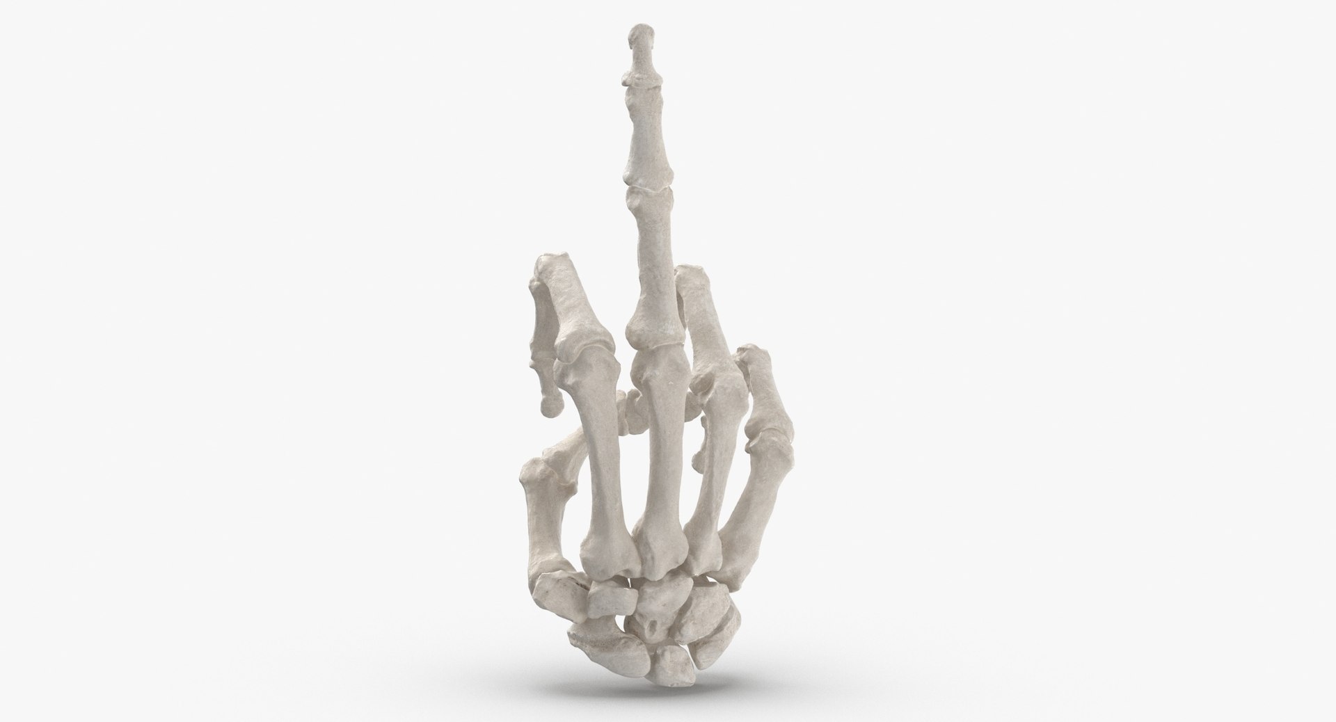 Human Hand Bones Middle Finger Sign White and Yellow Collection 01 - 2 ...