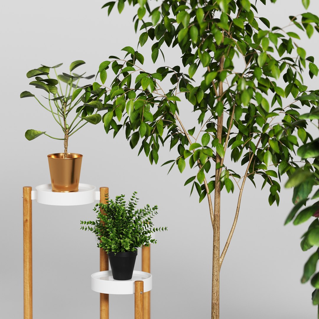 Ikea plants set 3D model https://p.turbosquid.com/ts-thumb/BY/qVo13y/09/11_view04/jpg/1720317199/1920x1080/fit_q87/4757ad44b9d4afc20e6d8406f2b820977c1cd5c9/11_view04.jpg