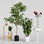 Conjunto de plantas Ikea