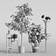 Conjunto de plantas Ikea