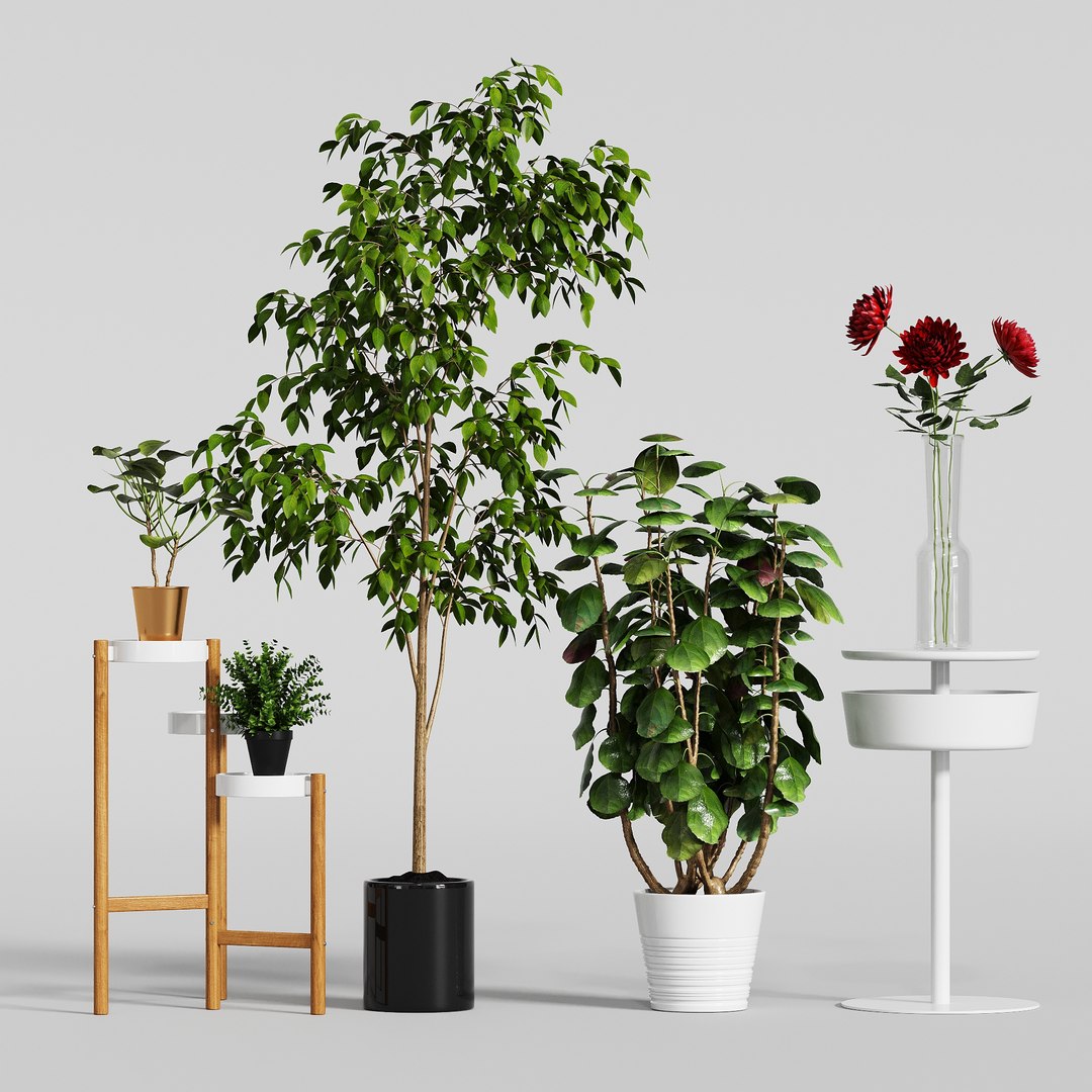 Ikea plants set 3D model https://p.turbosquid.com/ts-thumb/BY/qVo13y/zM/11_view03/jpg/1720317198/1920x1080/fit_q87/725e3d97bdfb8964ddd8598bd12784cd1f8a1bb1/11_view03.jpg