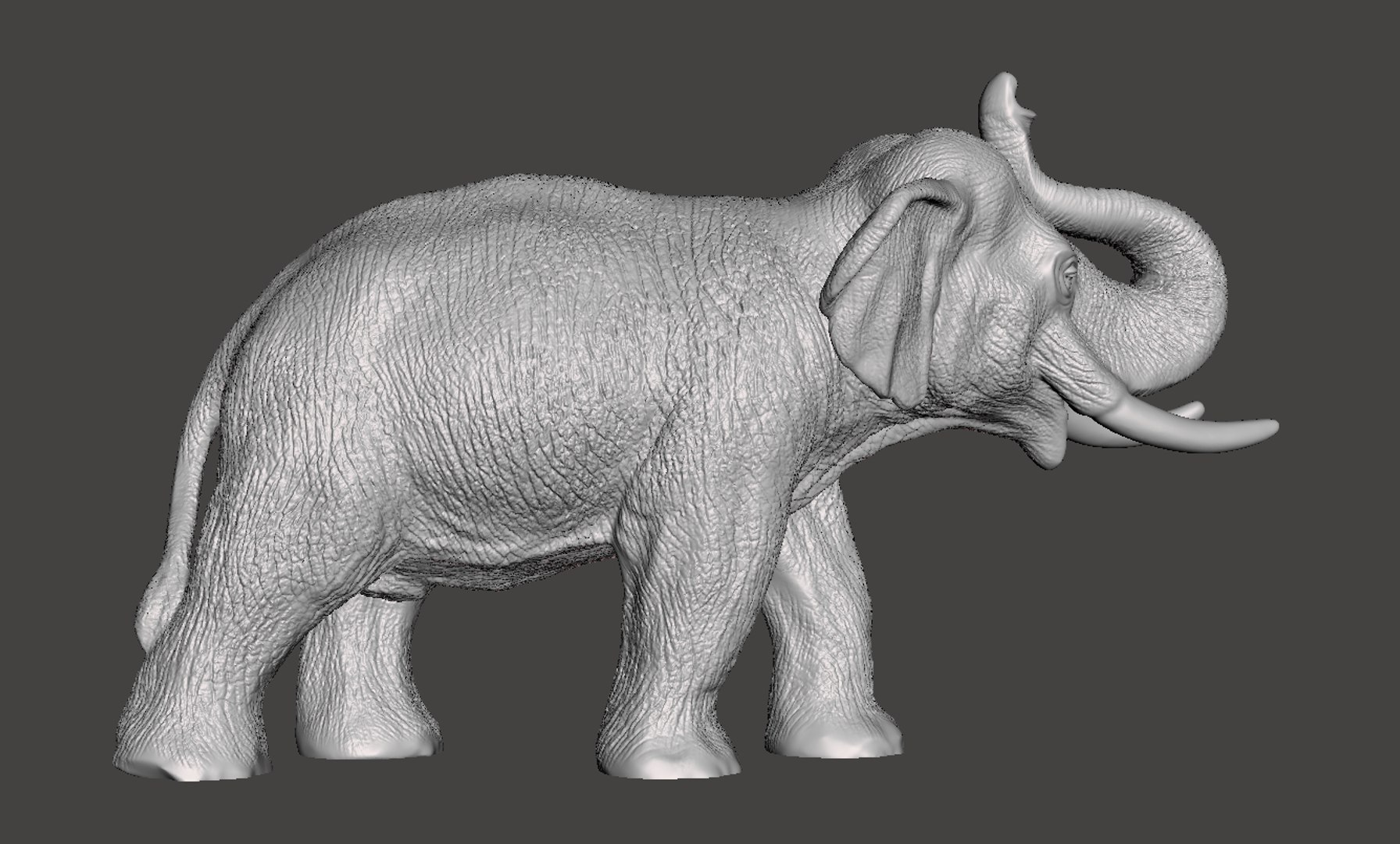 Elephant 3D Model - TurboSquid 1391949