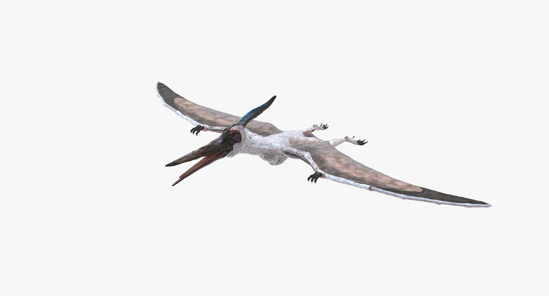 Dinosaur, Pteranodon, Pterodactyl, 3D Computer Graphics, Pterosaurs, Plant  transparent background PNG clipart