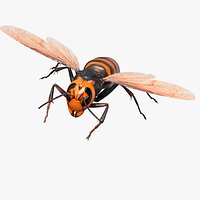 Huge Hornet Rigged for Maya