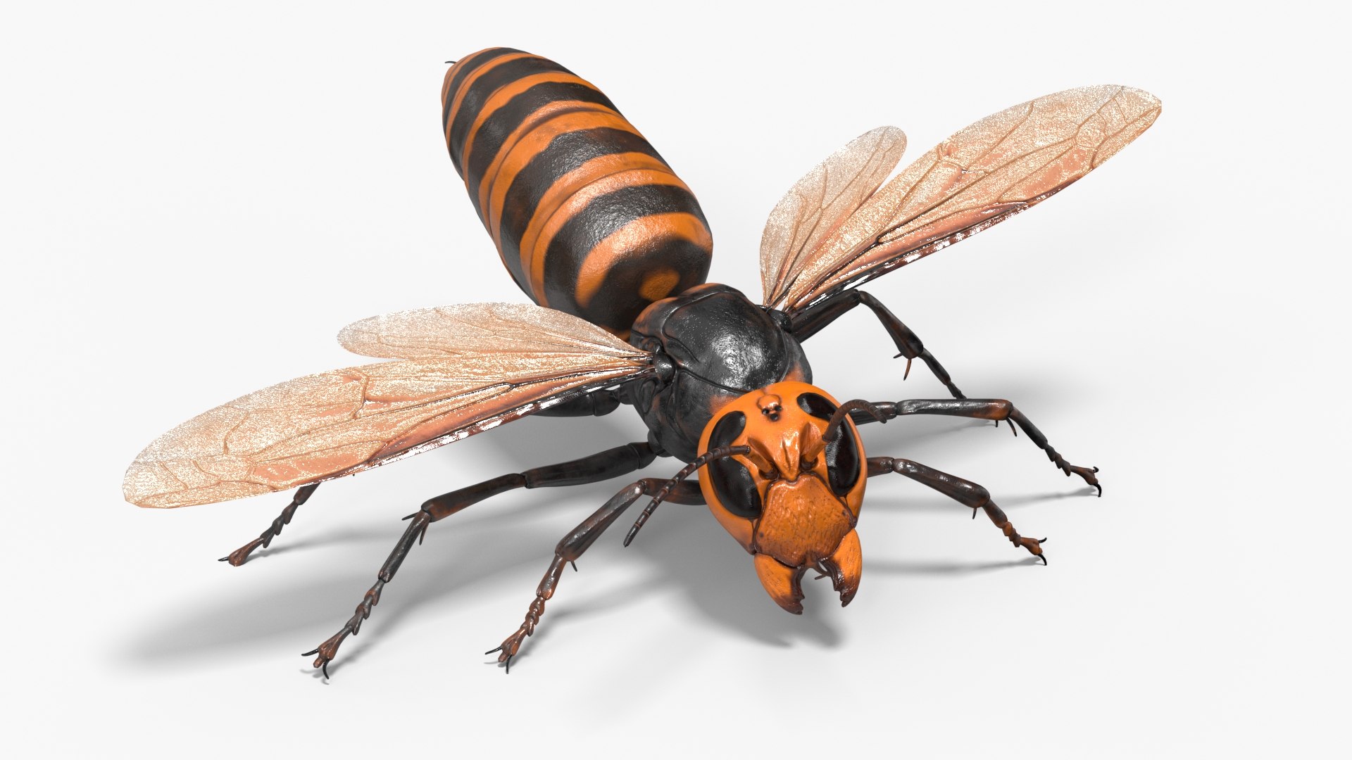 Huge Hornet Rigged for Maya 3D model preview