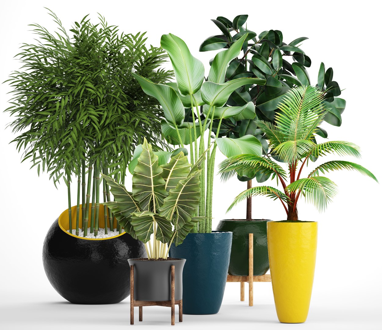 Plants 3D - TurboSquid 1173234