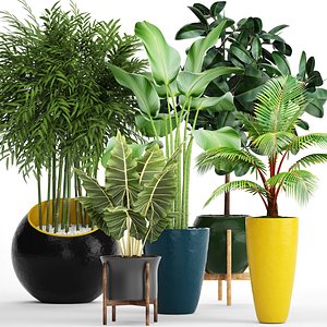 plants 3D