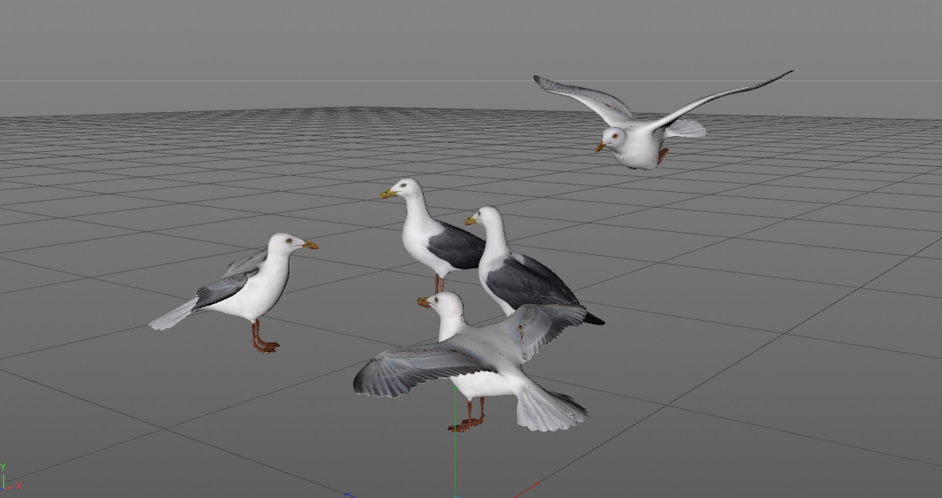 Seagulls 3D model https://p.turbosquid.com/ts-thumb/BZ/PXw4FW/TU/wf1/jpg/1677162202/1920x1080/fit_q87/ae8f7a9d5c1be528e8200037b2000244df30aa4b/wf1.jpg