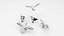 Seagulls 3D model