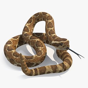 Light Rattlesnake Rigged for Maya