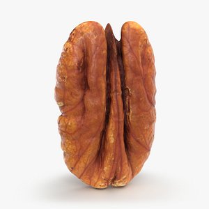 Pecan 02 - 3D Scanned