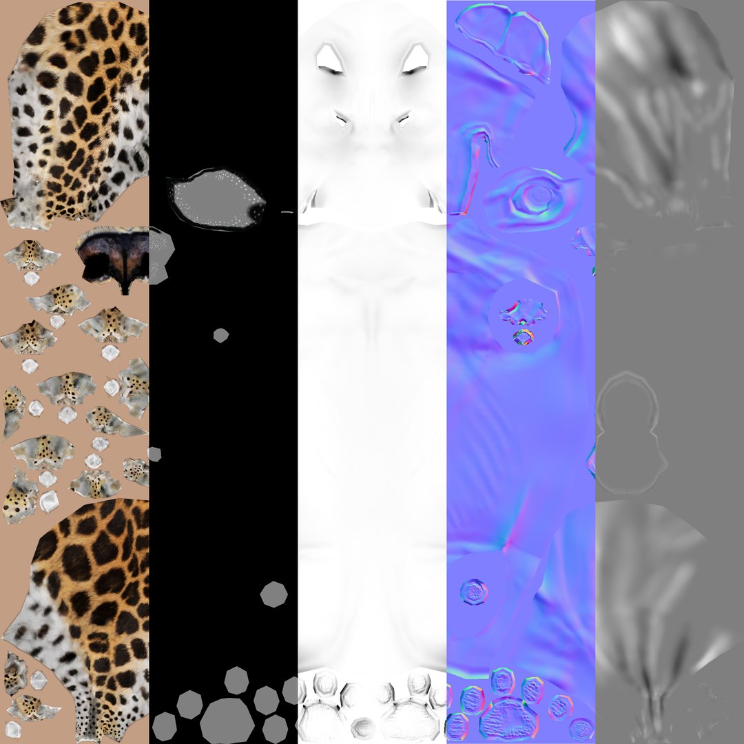 amur leopard 3D model https://p.turbosquid.com/ts-thumb/BZ/uZ85rv/7tmSPPLq/texturemapes/jpg/1516896185/1920x1080/fit_q87/dbebcb5bfe36184c26f39a1885160625f8be4244/texturemapes.jpg