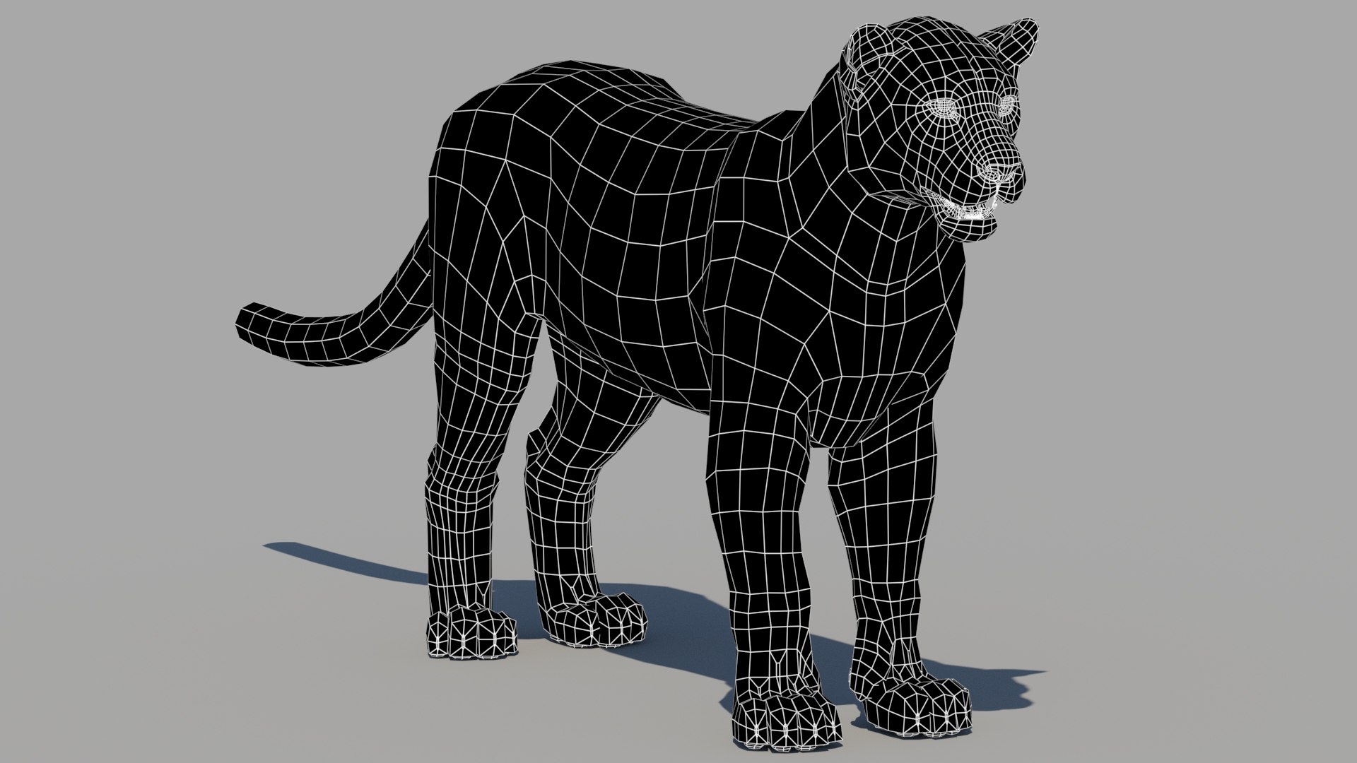 amur leopard 3D model https://p.turbosquid.com/ts-thumb/BZ/uZ85rv/VP/persian_leopard_3d_modelwireframe01/jpg/1687807944/1920x1080/fit_q87/391b7ef5b3c52b38241bd07d93ddcbd209f179bf/persian_leopard_3d_modelwireframe01.jpg
