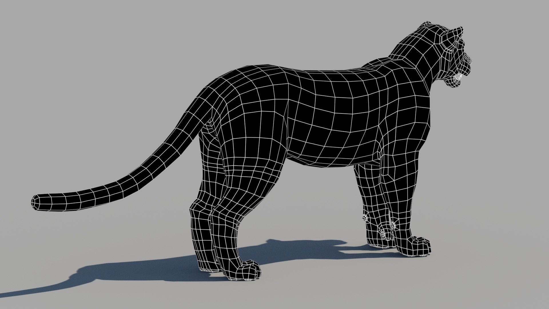 amur leopard 3D model https://p.turbosquid.com/ts-thumb/BZ/uZ85rv/kw/persian_leopard_3d_modelwireframe03/jpg/1687807945/1920x1080/fit_q87/0c1545df834c5d1dc995b7224a0bf36395355713/persian_leopard_3d_modelwireframe03.jpg