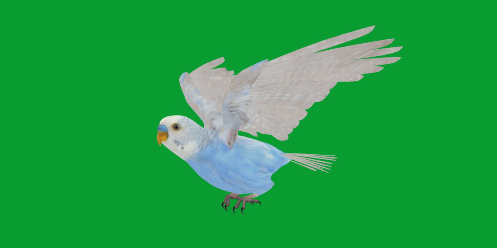 Budgie Parakeet Parrot model https://p.turbosquid.com/ts-thumb/BZ/ySdAO9/15/budgie8/png/1743721382/1920x1080/fit_q87/627a6641bbf5a382192bdf4630c547e32a6aa582/budgie8.jpg